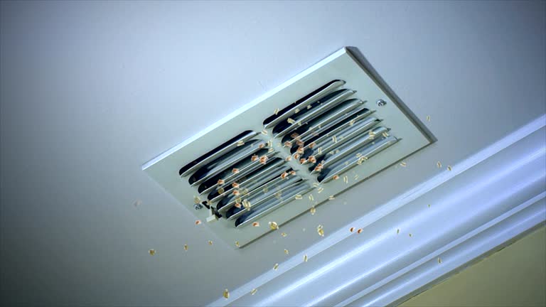 Best Air Vent Cleaning Services  in Henderson, TN